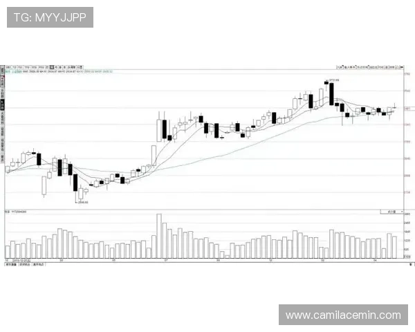 九游股份股价走势及财务表现详解为投资者提供全面决策参考